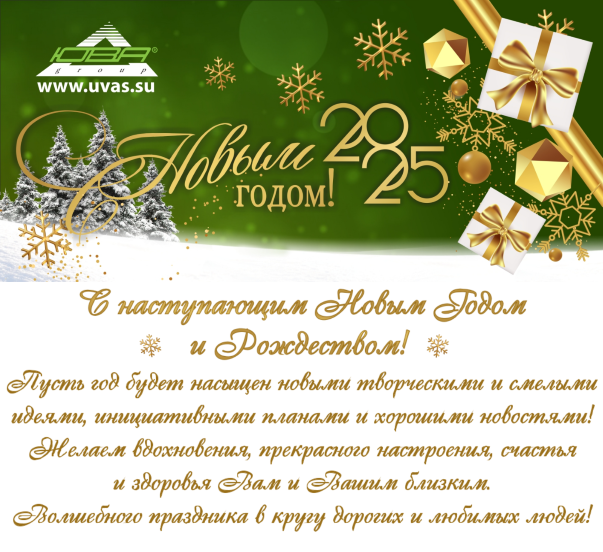С Новым 2025 годом!